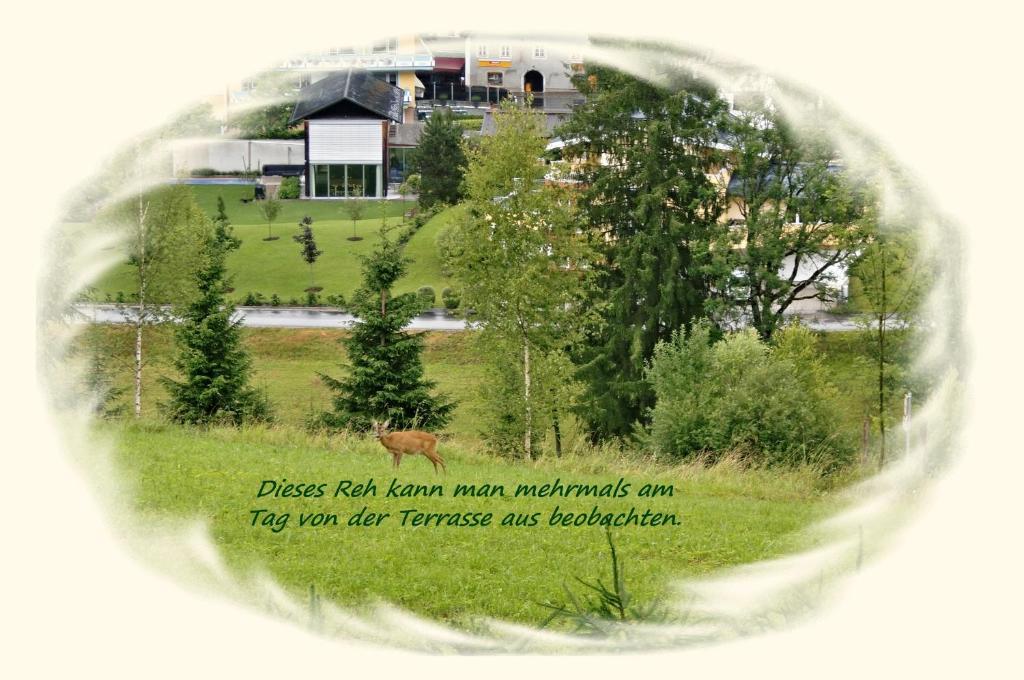 Apartment Dreier - Salzburger Land Abtenau Pokój zdjęcie